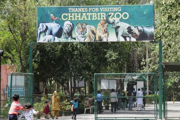 Chhatbir zoo took to adoptions in 2010, and the number has been rising every year. (HT Photo)