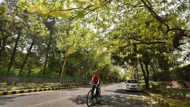 The seasonal flowers in full bloom is all around the capital in the peak summer weather in New Delhi. (Sushil Kumar/HT PHOTO)