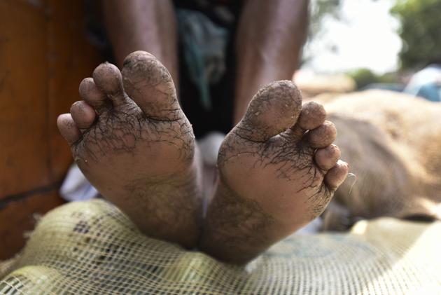 Sanjay, a labourer from Uttar Pradesh's Bulandshahr, takes a break after unloading 5 sacks, each weighting 80 kgs, at Khari Baoli spice market. (Burhaan Kinu/HT PHOTO)