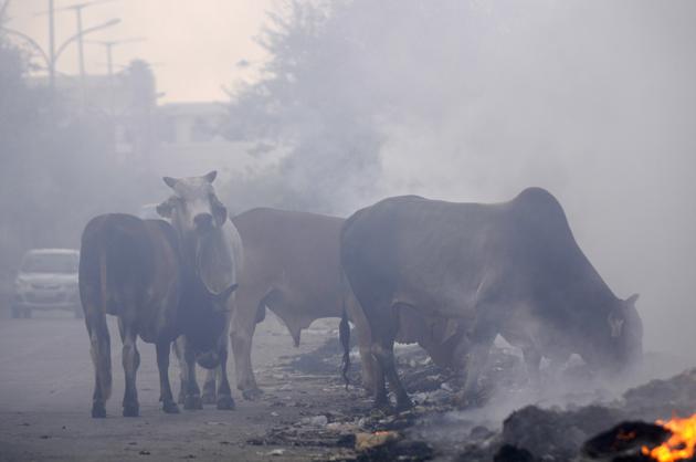 Burning of garbage in public spaces in the recent times has given rise to pollution fears in Noida. (File Photo) Burning of garbage in public spaces in the recent times has given rise to pollution fears in Noida. (File Photo)