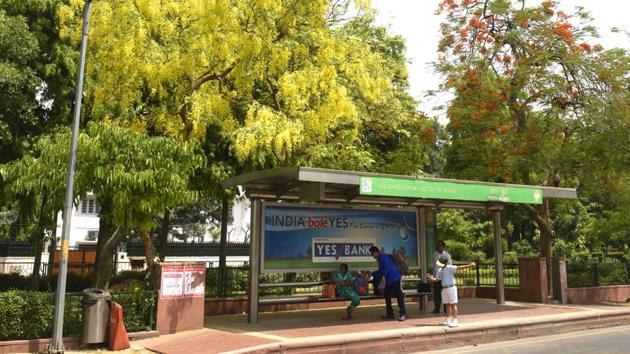 The flowers of the Amaltas tree are considered as the national flower of Thailand which symbolizes Thai royalty. (Sushil Kumar/HT PHOTO)