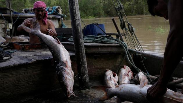 Fishermen in the poor town fear the oil industry may instead hurt their livelihoods as a potential oil spill would result in destruction of fish habitat. (Ricardo Moraes/REUTERS)