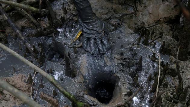 The government has however has denied neglecting environmental rules or planning to dilute them. (Ricardo Moraes/REUTERS)