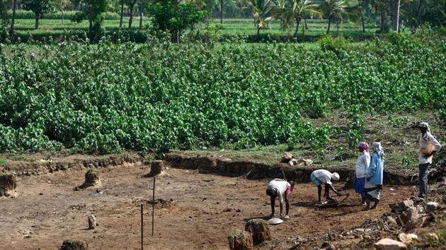 The scorching heat and the glaring sun don’t seem to deter the spirit of villagers clearing weed and silt from a dry lake. (Arijit Sen/HT Photo)