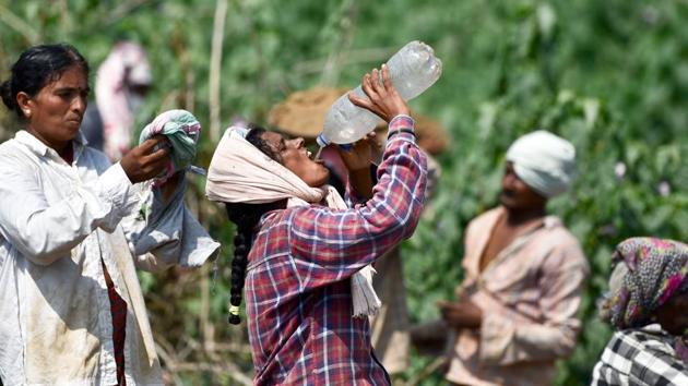 The lake which has gone dry for the first time has left the villagers with no water even for their cattle. (Arijit Sen/HT Photo)