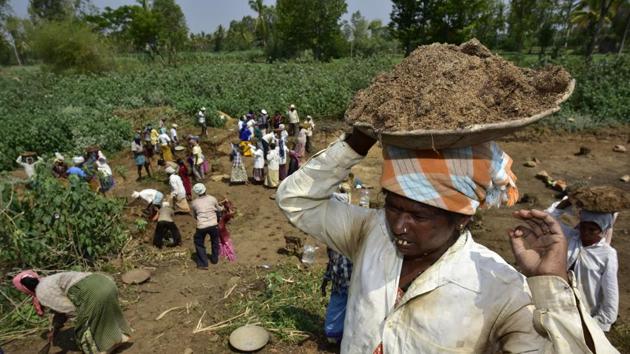 The women of Mandya are convinced that this is the way forward, inspired by the success of a similar movement by women in Gulbarga last year, where 28 water bodies were revived. (Arijit Sen/HT Photo)