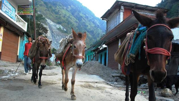 Mule operators carry pilgrims from Sonprayag to the Kedarnath shrine, traversing one of the most steep terrains of the Himalayas. (HT Photo) Mule operators carry pilgrims from Sonprayag to the Kedarnath shrine, traversing one of the most steep terrains of the Himalayas. (HT Photo)