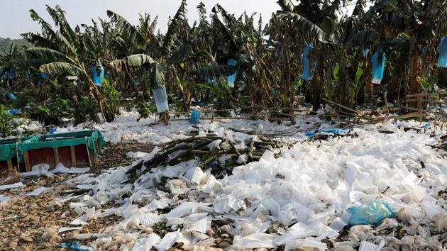 There is no guarantee the government’s crackdown on pesticide use in banana production will lead to potentially harmful chemicals being phased out altogether.As banana prices fell following a surge in output, some Chinese investors began to plant other crops on the land, including chemically intensive ones like watermelon. (Jorge Silva / REUTERS) There is no guarantee the government’s crackdown on pesticide use in banana production will lead to potentially harmful chemicals being phased out altogether.As banana prices fell following a surge in output, some Chinese investors began to plant other crops on the land, including chemically intensive ones like watermelon. (Jorge Silva / REUTERS)