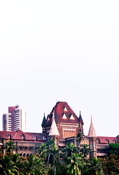 PN Mehta Educational Trust, Mumbai, and the Boys’ Town Junior College, Nashik, challenged the government notification in the high court(HT file)