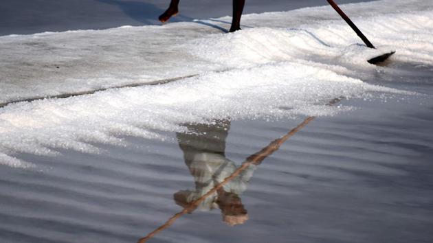 In the salt pan method of production, sea water is pumped into the salt pans and then allowed to evaporate. (ARUN SANKAR/AFP) In the salt pan method of production, sea water is pumped into the salt pans and then allowed to evaporate. (ARUN SANKAR/AFP)