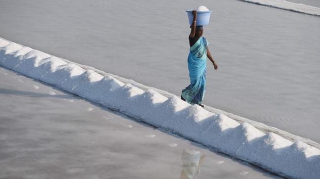 The production begins in the month of January and goes on till October . (ARUN SANKAR/AFP) The production begins in the month of January and goes on till October . (ARUN SANKAR/AFP)