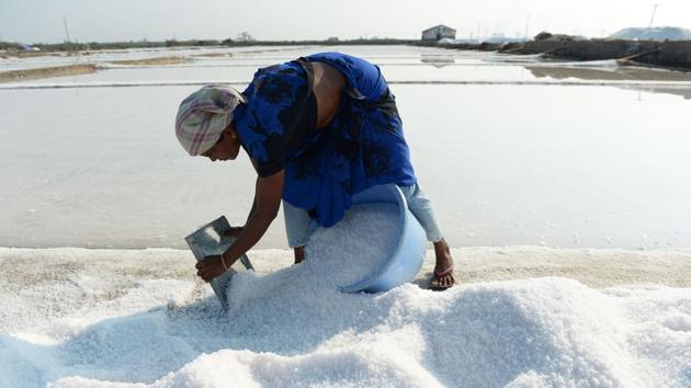 Labours periodically check the pans and sweep up the salt after the water crystallizes into salt. The salt is then dried up in mounds before being filled up in sacks and carted away. (ARUN SANKAR/AFP) Labours periodically check the pans and sweep up the salt after the water crystallizes into salt. The salt is then dried up in mounds before being filled up in sacks and carted away. (ARUN SANKAR/AFP)