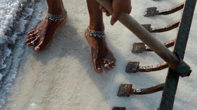 Labourer Thangam uses a metal rake as she works on a salt pan. In the past traders and exporters relied on Gujarat, which constitutes 65% – 75% of the total production in India. (ARUN SANKAR/AFP) Labourer Thangam uses a metal rake as she works on a salt pan. In the past traders and exporters relied on Gujarat, which constitutes 65% – 75% of the total production in India. (ARUN SANKAR/AFP)
