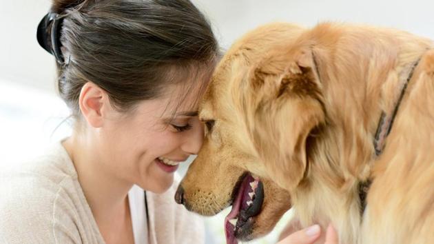 dog growling meaning dog growling meaning