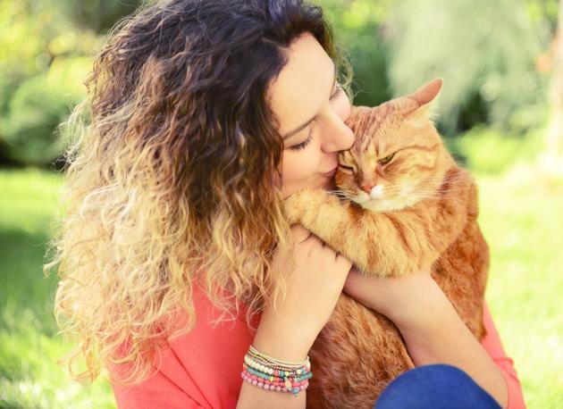 Kitling & Co focuses on helping rescued and orphaned cats get a new home. (Istock) Kitling & Co focuses on helping rescued and orphaned cats get a new home. (Istock)