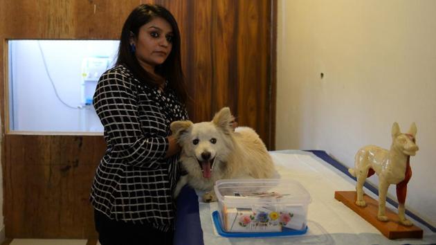 Pet owners often complain that although the government pet clinics are free, their facilities are bare minimum and the general environment unhealthy.  (Sajjad Hussain/AFP) 