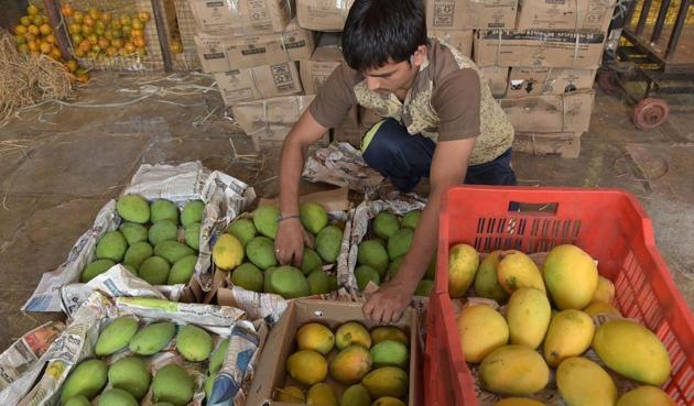 The farmers said that they will ensure that no truck or vehicles ply out of the districts to the major cities. (HT File) The farmers said that they will ensure that no truck or vehicles ply out of the districts to the major cities. (HT File)