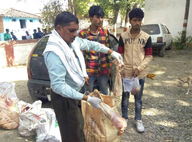 A veterinary doctor checks the meat seized from the two men in the background. The vet certified that the met was beef. (HT PHOTO) A veterinary doctor checks the meat seized from the two men in the background. The vet certified that the met was beef. (HT PHOTO)