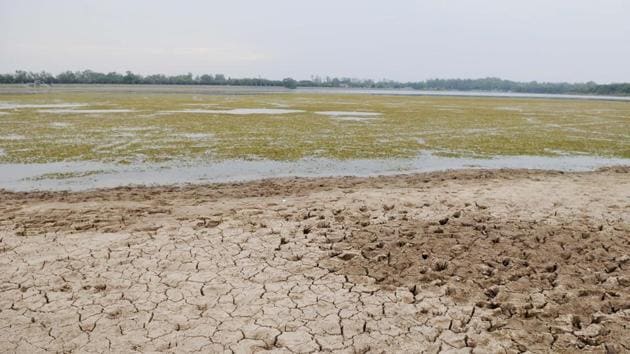 With water level of Chandigarh’s iconic Sukhna Lake decreasing by the day, this could be the lake’s last summer. (Karun Sharma/HT)