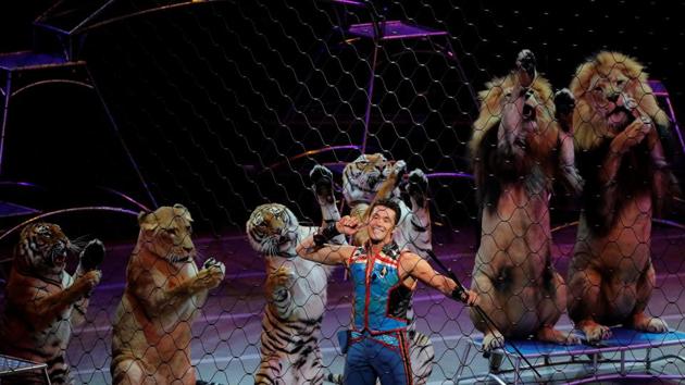 Big cat trainer Alexander Lacey performs. Animal rights campaigners - who had been accusing the Ringling Bros of animal abuse - have welcomed the decision to shut the company. (Lucas Jackson / REUTERS)