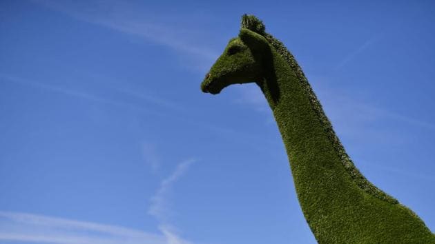 A giraffe made from astro turf is seen at the show . (BEN STANSALL / AFP) 