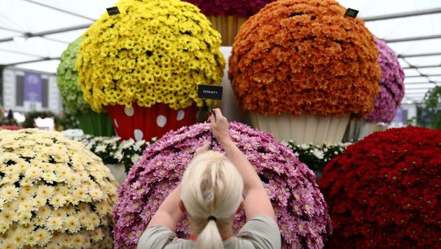 The RHS Greening Grey Britain Garden is inspired by the idea of putting plants into urban spaces. (Neil Hall /REUTERS) 