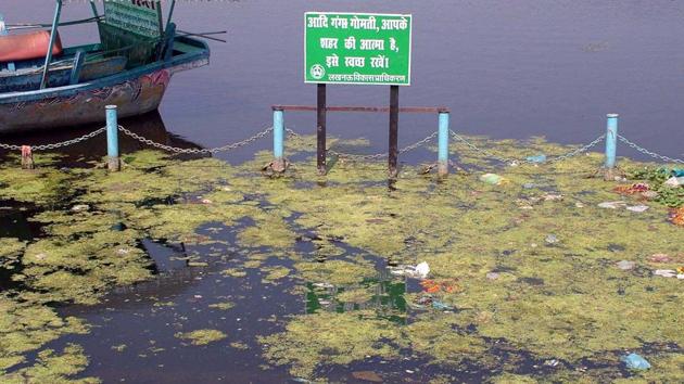 Polythene bags and pollutants on the surface of the Gomti River in Lucknow. The river crosses Lucknow for about 12 kilometres. At the entrance point water is lifted from the river for the city’s water supply and about 25 city drains pour untreated sewage into the Gomti through its course. (Dheeraj Dhawan/Ht Photo)