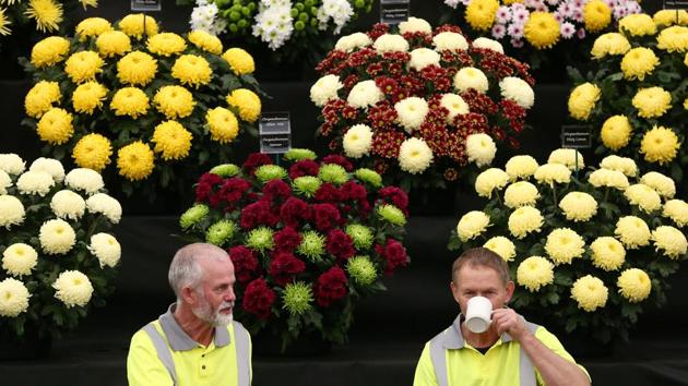 Gardeners have a tea break at the RHS London. (Neil Hall / REUTERS) 