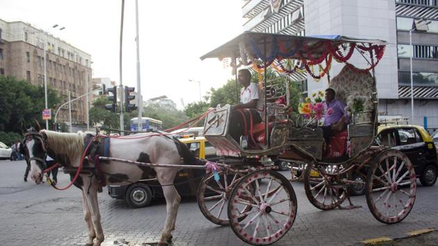 The state had formed a committee headed by finance minister Sudhir Mungantiwar, which held two meetings and  proposed the rehabilitation package. The cabinet approved it on Monday. (HT)