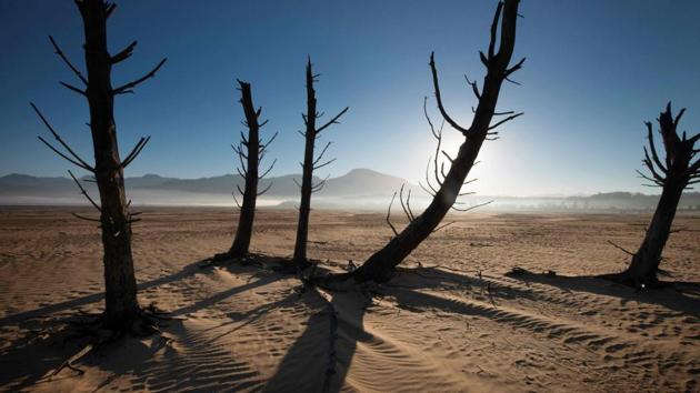 Bare sand and dried tree trunks standing out at Theewaterskloof Dam. (Rodger Bosch / AFP) Bare sand and dried tree trunks standing out at Theewaterskloof Dam. (Rodger Bosch / AFP)