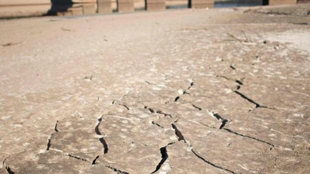The Western Cape is experiencing its worst drought in over 113 years and has been declared a disaster area. (Rodger Bosch / AFP) The Western Cape is experiencing its worst drought in over 113 years and has been declared a disaster area. (Rodger Bosch / AFP)