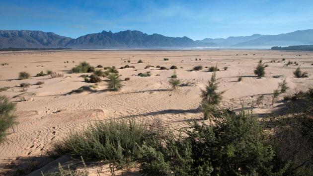 As dam levels continue to drop, the City of Cape Town is calling on residents to cut non-essential municipal water use immediately. (Rodger Bosch / AFP) As dam levels continue to drop, the City of Cape Town is calling on residents to cut non-essential municipal water use immediately. (Rodger Bosch / AFP)