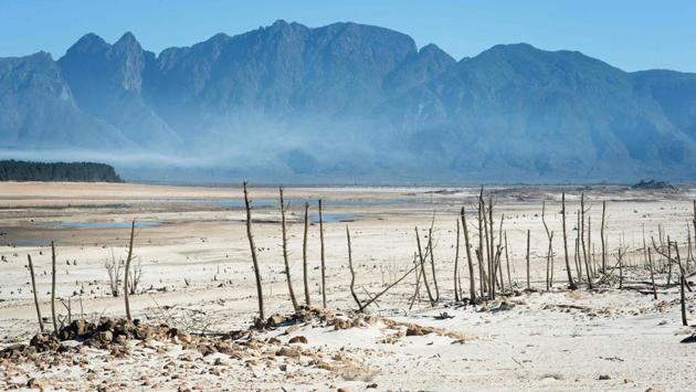 Retreating water levels at Theewaterskloof Dam have left dying plant life behind. (Rodger Bosch / AFP) Retreating water levels at Theewaterskloof Dam have left dying plant life behind. (Rodger Bosch / AFP)
