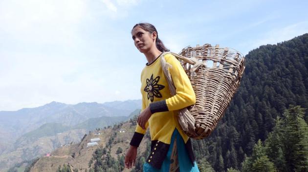 The youngest sarpanch of India at 22, it’s been quite an uphill journey for Jabna Chauhan of Tharjoon panchayat in the Mandi district of Himachal Pradesh. (HT Photo) The youngest sarpanch of India at 22, it’s been quite an uphill journey for Jabna Chauhan of Tharjoon panchayat in the Mandi district of Himachal Pradesh. (HT Photo)