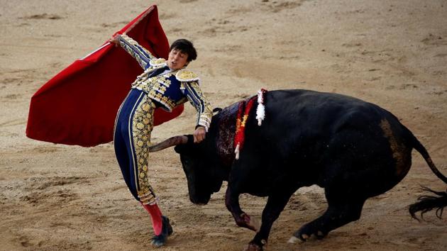 Bullfighter Roca Rey barely misses a bull's horn during San Isidro's bullfighting fair. In 2013, Spain’s deep tradition of bullfights was named part of the country’s cultural heritage. The matador plays the lead role who kills the bull to win the cheers from the crowd. Over the years, animal rights activists have protested against the tradition claiming it to be violent and a blatant form of animal cruelty. (Susana Vera / Reuters) Bullfighter Roca Rey barely misses a bull's horn during San Isidro's bullfighting fair. In 2013, Spain’s deep tradition of bullfights was named part of the country’s cultural heritage. The matador plays the lead role who kills the bull to win the cheers from the crowd. Over the years, animal rights activists have protested against the tradition claiming it to be violent and a blatant form of animal cruelty. (Susana Vera / Reuters)