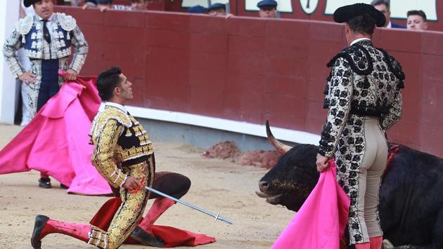 Spanish matador Alejandro Talavante (C) shows off as the bull dies during the San Isidro bullfight festival.The future of the spectacle has come under threat from opponents who believe the fight to be barbaric, one that has no place in the modern society. (ALBERTO SIMON / AFP) Spanish matador Alejandro Talavante (C) shows off as the bull dies during the San Isidro bullfight festival.The future of the spectacle has come under threat from opponents who believe the fight to be barbaric, one that has no place in the modern society. (ALBERTO SIMON / AFP)