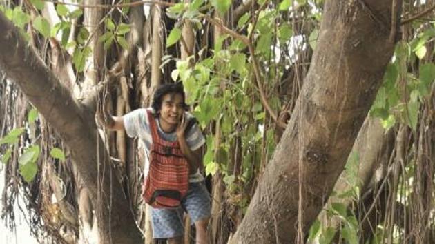 Residents have been climbing trees to stop them from being cut for Metro-3.(HT) Residents have been climbing trees to stop them from being cut for Metro-3.(HT)
