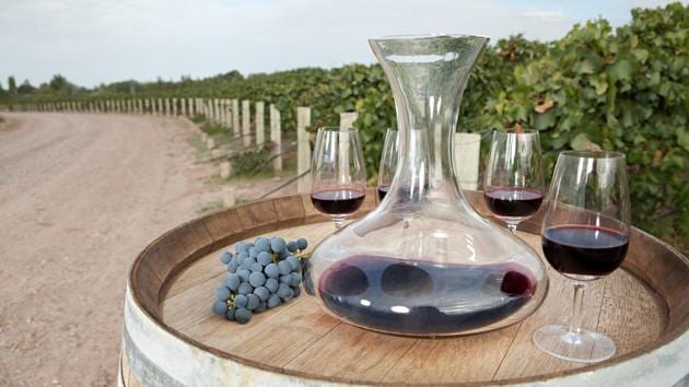 Red wine in a vineyard in South America.(Photo: Istock)