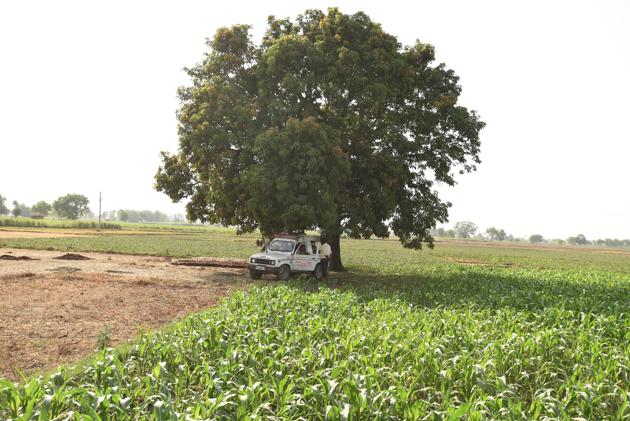The spot where the four women were gang-raped and a man shot dead in Jewar on Thursday. (Virendra Singh Gosain/HT PHOTO) The spot where the four women were gang-raped and a man shot dead in Jewar on Thursday. (Virendra Singh Gosain/HT PHOTO)