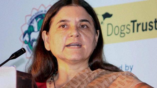 Union minister Maneka Gandhi says strict monitoring would ensure that no animals were bought for slaughter through livestock markets, but were sourced directly from farms, so that its provenance can be traced and safety can be ensured. (PTI File) Union minister Maneka Gandhi says strict monitoring would ensure that no animals were bought for slaughter through livestock markets, but were sourced directly from farms, so that its provenance can be traced and safety can be ensured. (PTI File)