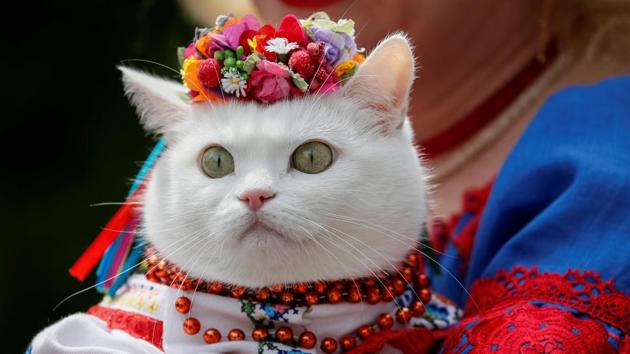 A woman dressed in a traditional Ukrainian embroidered shirt holds her cat as she take part in an embroidered shirt parade in central Kiev, Ukraine. (Gleb Garanich / REUTERS)