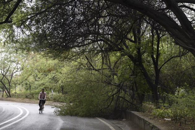 The wet roads, the drenched trees and the moist soil with a few water puddles here and there were a welcome sight for Delhiites who had been baking under the scorching heat till Saturday. (Saumya Khandelwal / HT photo)