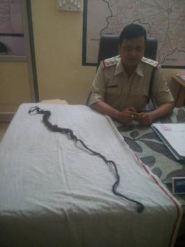 HT Photo/Guna police in possession of 4 feet long ‘jata’ of a Swami allegedly cut by a group of Bhil tribals HT Photo/Guna police in possession of 4 feet long ‘jata’ of a Swami allegedly cut by a group of Bhil tribals