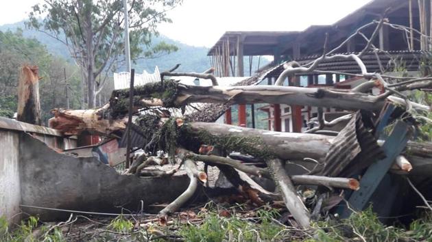Many trees were uprooted in Mizoram as cyclone Mora hit the northeast on Tuesday.(HT Photo) Many trees were uprooted in Mizoram as cyclone Mora hit the northeast on Tuesday.(HT Photo)