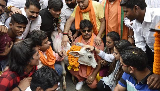 BJP Yuva Morcha activists offering pooja of a Calf during protest near AICC against slaughter of Cow by the Youth Congress Leader in Kerala, in New Delhi, India, on Tuesday, May 30, 2017. (Mohd Zakir/HT PHOTO) BJP Yuva Morcha activists offering pooja of a Calf during protest near AICC against slaughter of Cow by the Youth Congress Leader in Kerala, in New Delhi, India, on Tuesday, May 30, 2017. (Mohd Zakir/HT PHOTO)