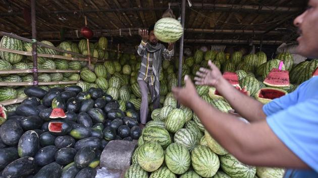 A roadside vendor hurls a watermelon towards his fellow partner for sale. India grows approximately 25 varieties of watermelon.  (Raj K Raj/HT PHOTO) 