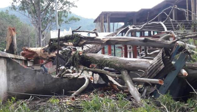 Trees got uprooted and fell on houses in Mizoram as Cyclone Mora hit the state. (HT Photo) Trees got uprooted and fell on houses in Mizoram as Cyclone Mora hit the state. (HT Photo)