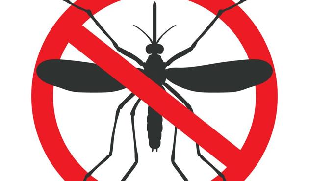 Three positive cases of Zika Virus Disease have been reported from the state of Gujarat. (Shutterstock) Three positive cases of Zika Virus Disease have been reported from the state of Gujarat. (Shutterstock)