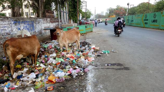 LMC has decided to replace some ‘defunct swachhagrahis’ and train the rest for the task of improving sanitation in the city. (HT File Photo) LMC has decided to replace some ‘defunct swachhagrahis’ and train the rest for the task of improving sanitation in the city. (HT File Photo)