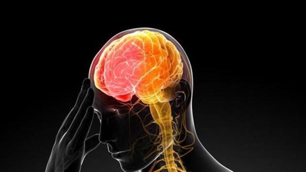 A stroke could induce behavioural changes as well like wanting to drink alcohol more often. (Shutterstock) A stroke could induce behavioural changes as well like wanting to drink alcohol more often. (Shutterstock)